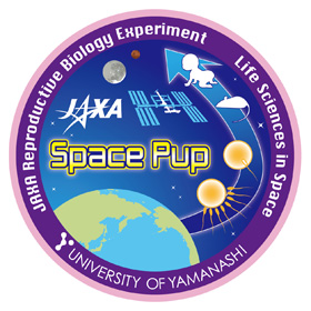 space pup.png